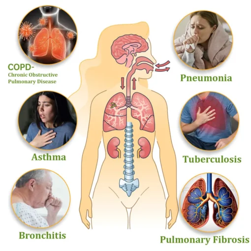 Zvoevo® NAC-Enhanced Lung Cleansing Inhaler