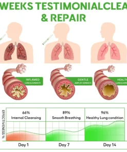 Zvoevo® Botanical Mullein Lung Cleanse Diffuser