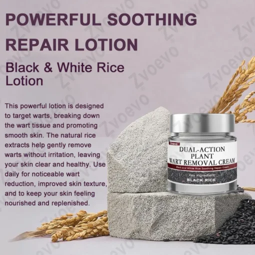 Zvoevo® Rice Bran Essence Cream