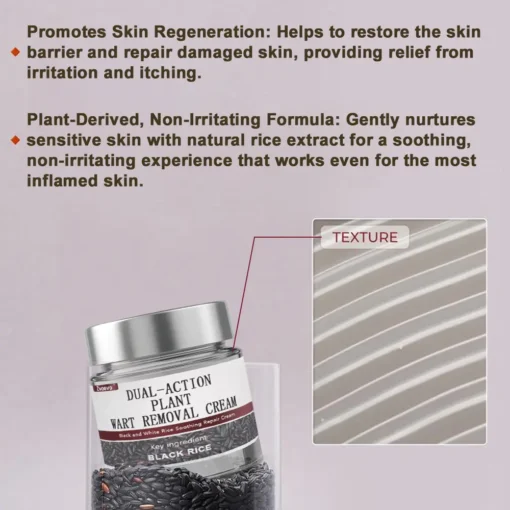 Zvoevo® Rice Bran Essence Cream