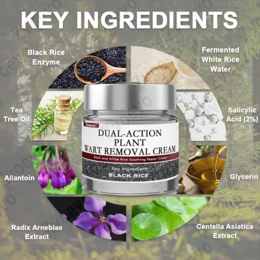 Zvoevo® Rice Bran Essence Cream