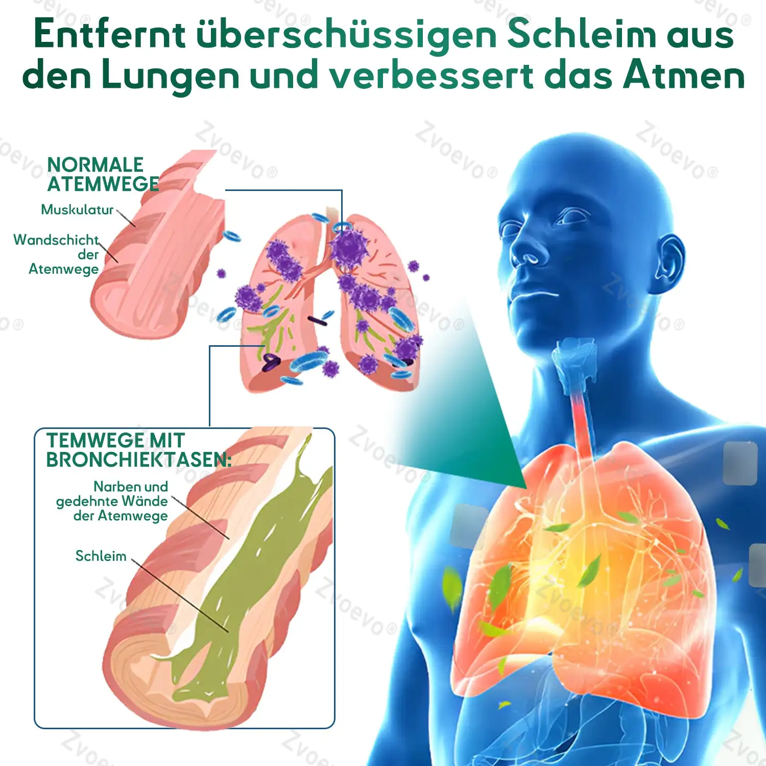 ๐๐ฏ๐จ๐๐ฏ๐จยฎ ๐๐จ๐ฎ๐๐ฅ๐๐๐๐ง๐จ ๐
๐จ๐ซ๐ญ๐ฌ๐๐ก๐ซ๐ข๐ญ๐ญ๐ฅ๐ข๐๐ก๐๐ฌ ๐๐ฎ๐ง๐ ๐๐ง๐๐ง๐ญ๐ ๐ข๐๐ญ๐ฎ๐ง๐ ๐ฌ-๐๐๐ฅ๐๐ฌ๐ญ๐๐ซ ๐ณ๐ฎ๐ซ ๐๐ข๐ง๐๐๐ซ๐ฎ๐ง๐