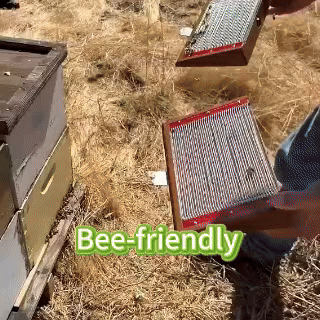 Zvoevo® BeeDerm RX Cream