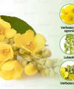 Zvoevo® Botanischer Mullein Lungenreinigungsdiffusor