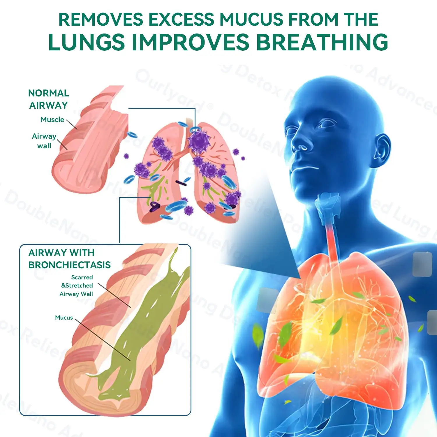 Zvoevoยฎ DoubleNano COPD Relief ๐ถ๐๐๐ ๐ณ๐๐๐๐๐