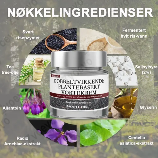 Zvoevo® Svart ris hudreparerende essenskrem