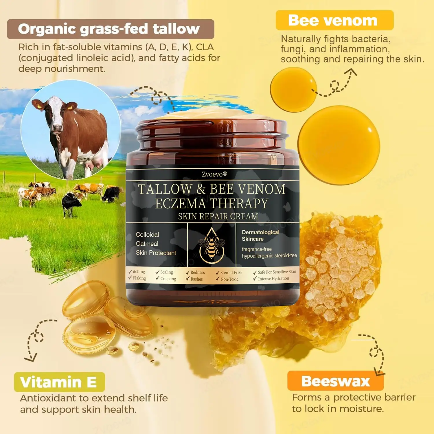 ๐๐ฏ๐จ๐๐ฏ๐จยฎ ๐๐ฌ๐จ๐ซ๐ข๐๐ฌ๐ข๐ฌ & ๐๐๐ณ๐๐ฆ๐ ๐๐๐ฅ๐ข๐๐ ๐๐ซ๐๐๐ฆ