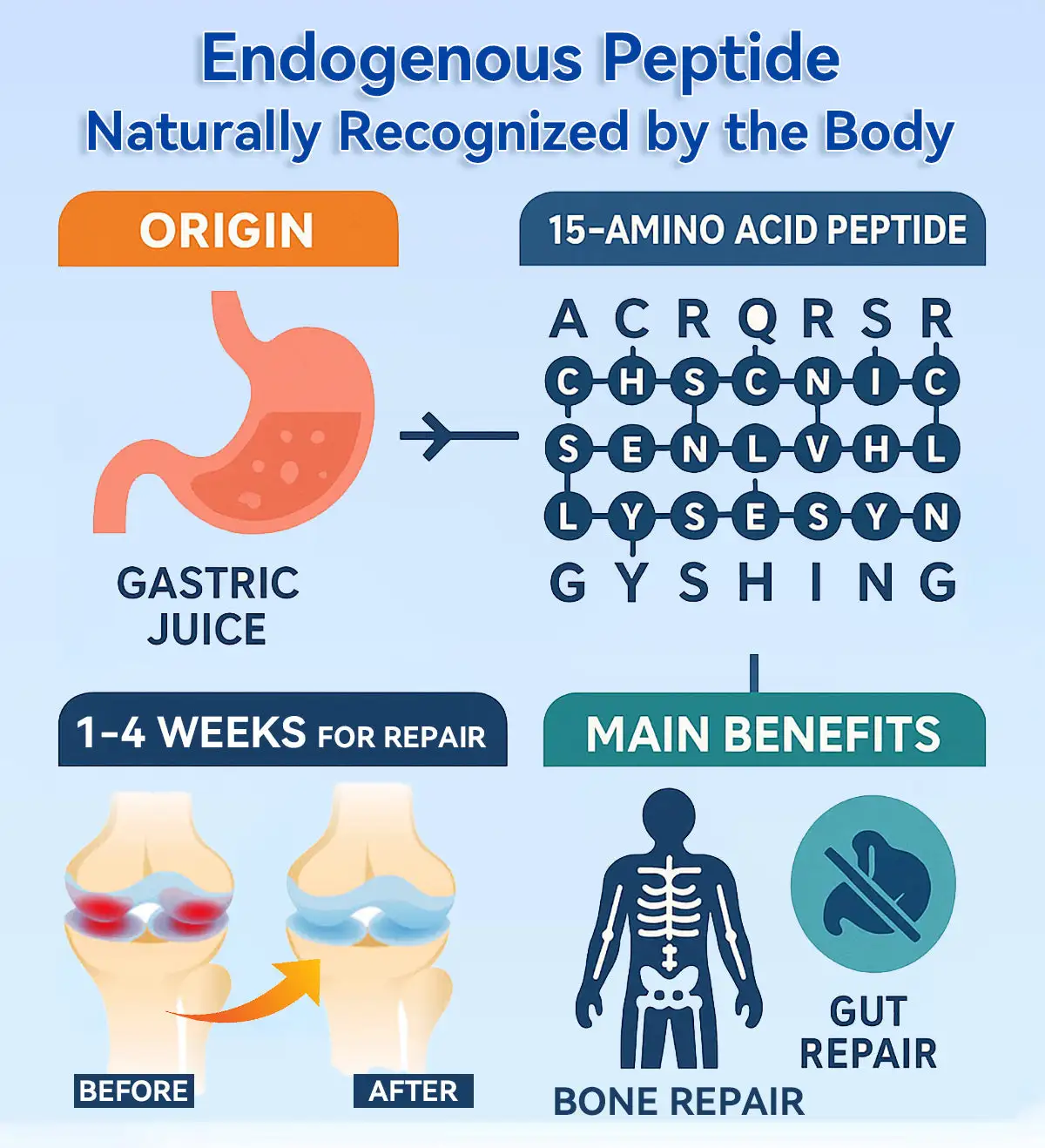 Zvoevo® BPC-157 Stabilized-Peptide Joint Recovery Oral Liquid