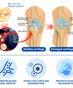 Zvoevo® BPC-157 Stabilized-Peptide Joint Recovery Oral Liquid