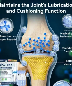 Zvoevo® BPC-157 Stabilized-Peptide Joint Recovery Oral Liquid