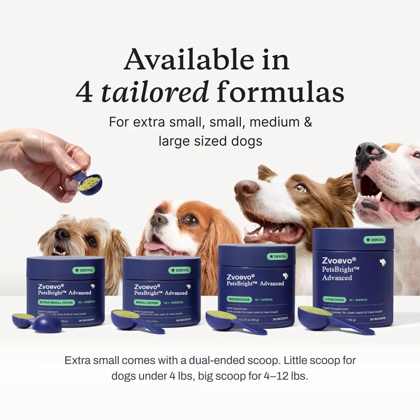 Zvoevo® PetsBright Advanced Dental Powder for Clean Teeth & Fresh Breath