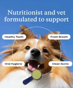 Zvoevo® PetsBright Advanced Dental Powder for Clean Teeth & Fresh Breath