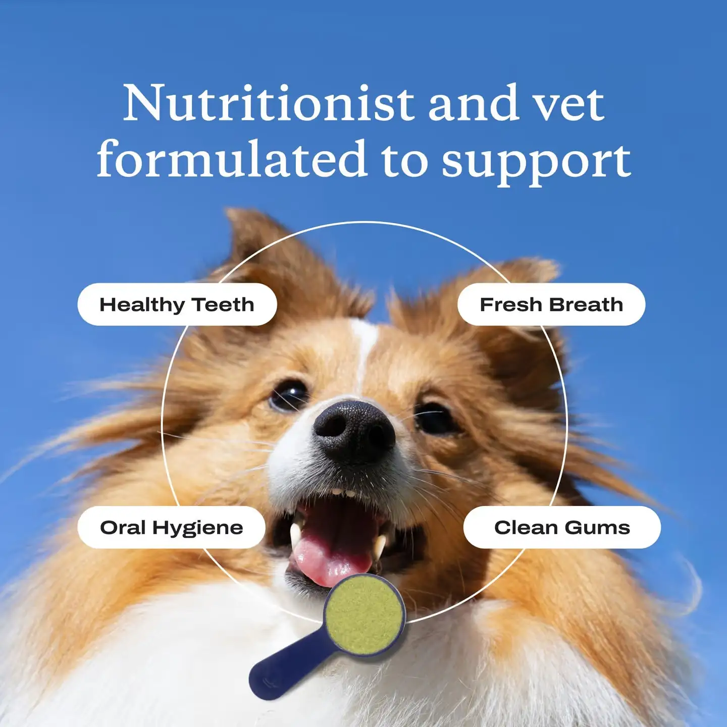 Zvoevo® PetsBright Advanced Dental Powder for Clean Teeth & Fresh Breath